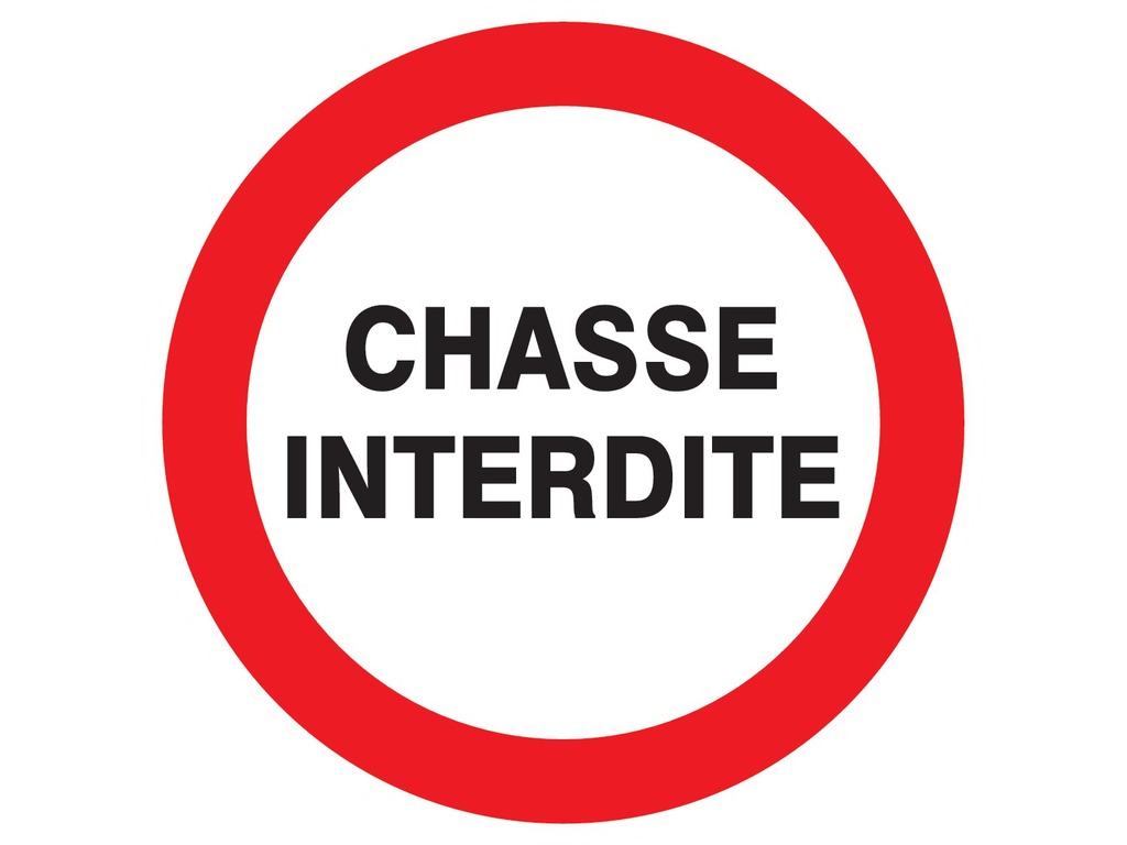 Chasse interdite