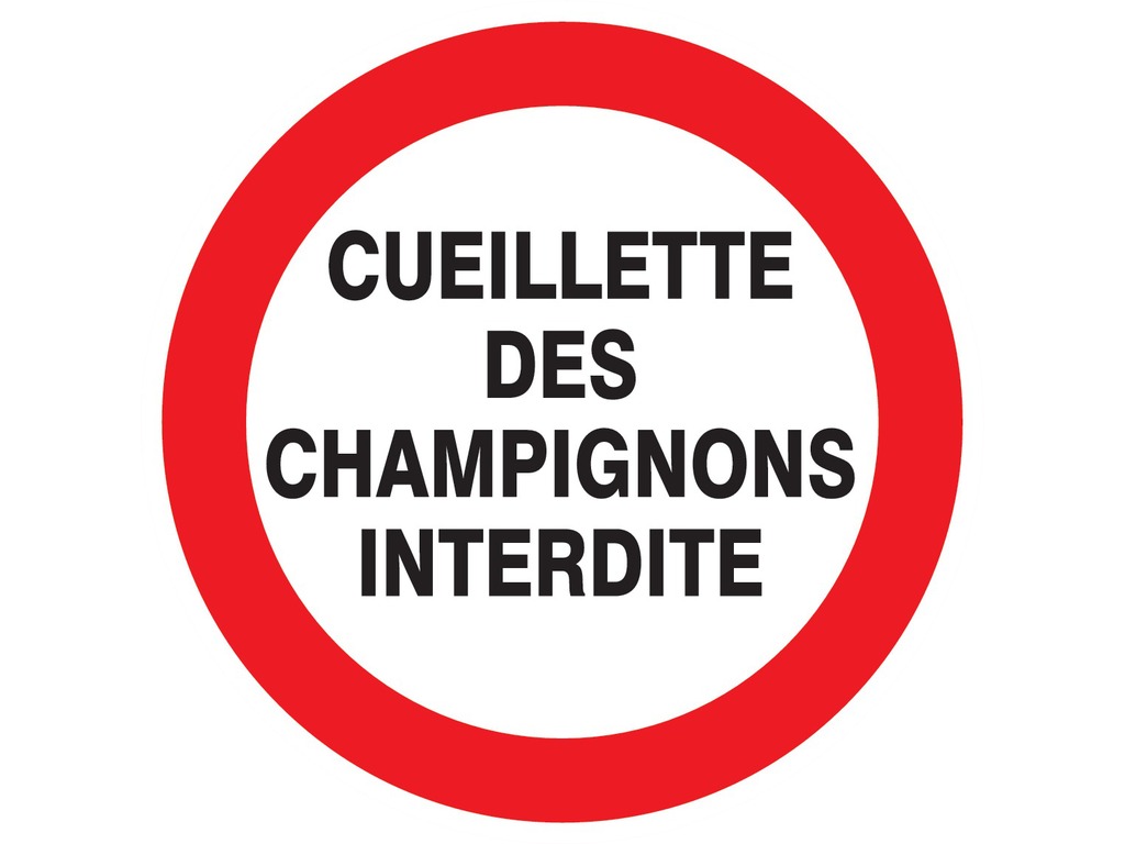 Cueillette des champignons interdite