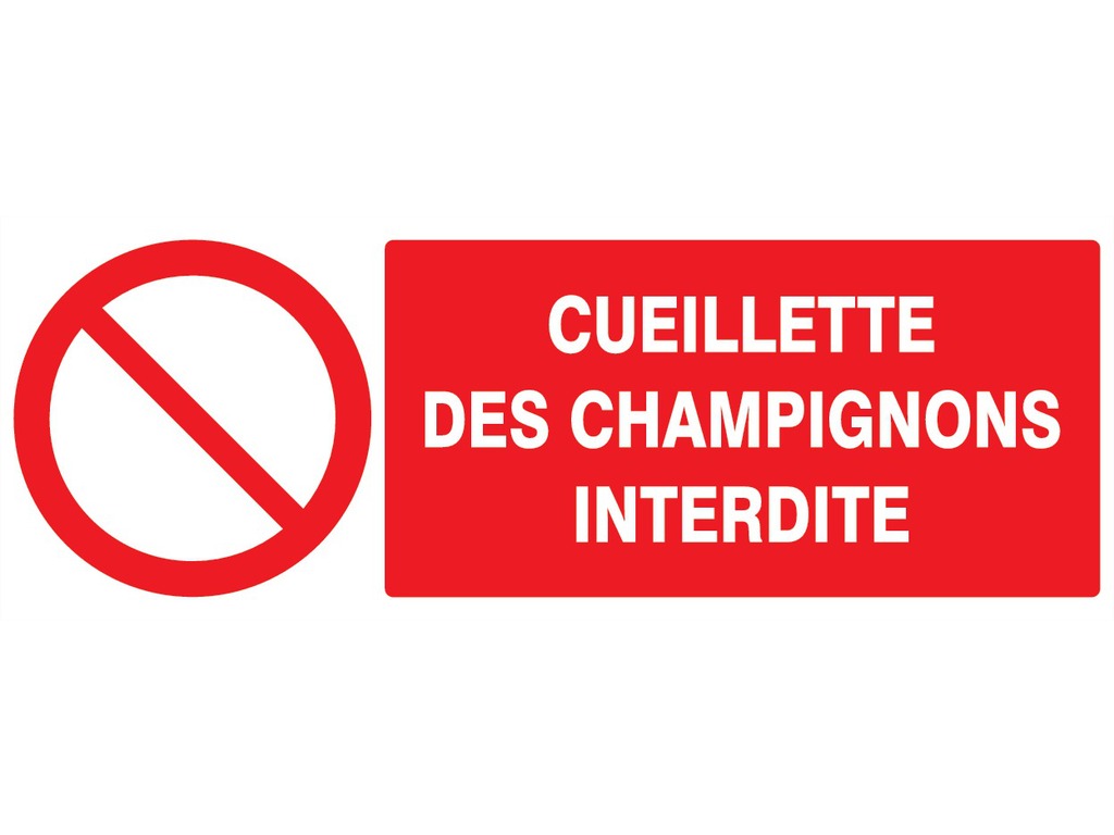 Cueillette des champignons interdite