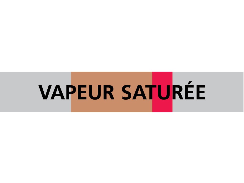 Vapeur saturée