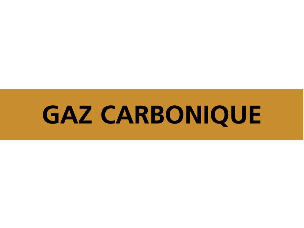 Gaz carbonique