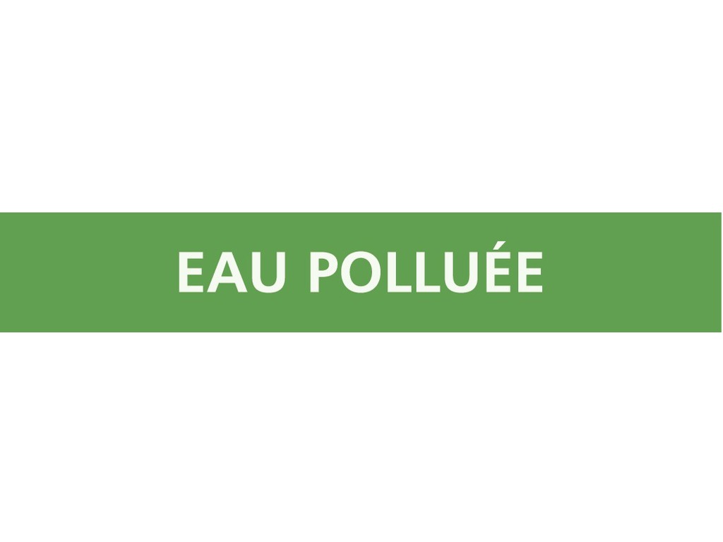 Eau polluée