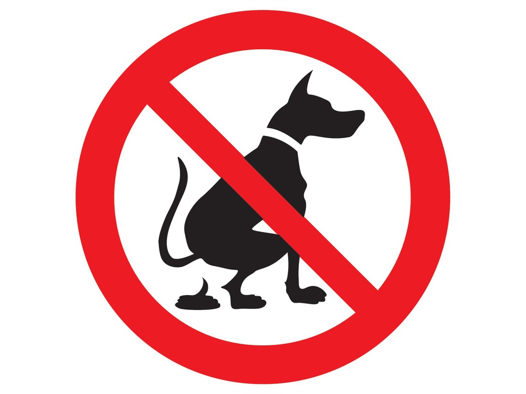 Déjections d’animaux interdites