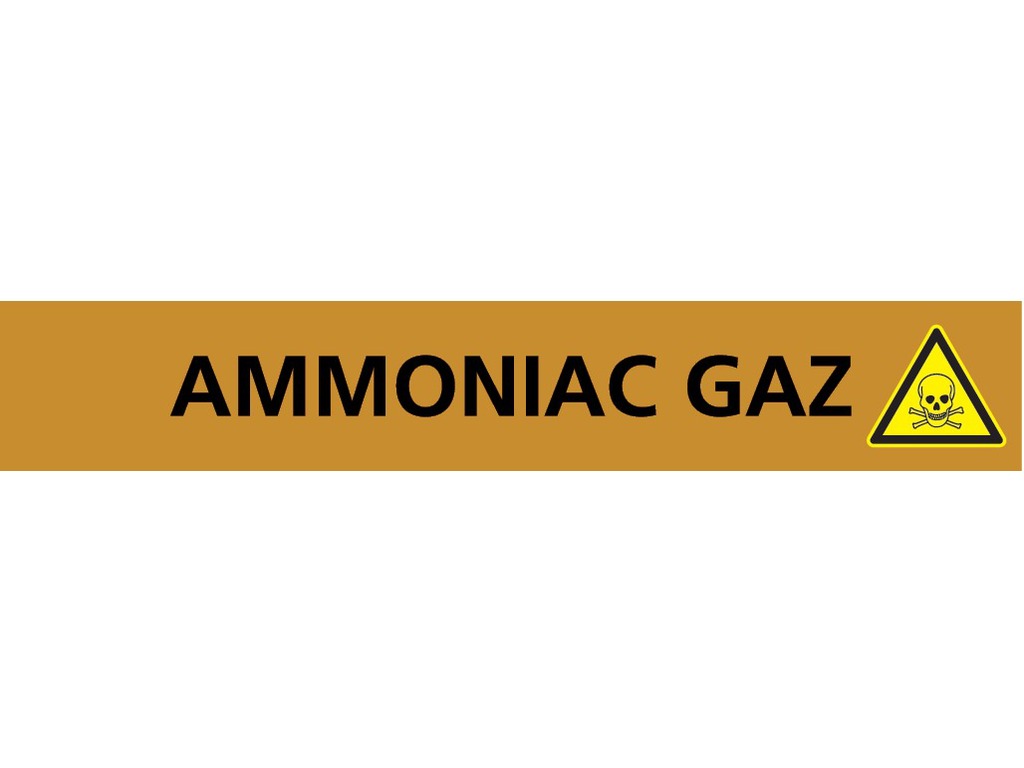 Ammoniac gaz