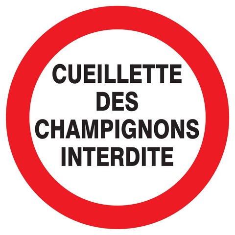 Cueillette des champignons interdite