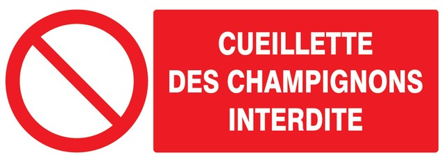 Cueillette des champignons interdite