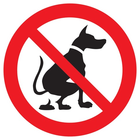 Déjections d’animaux interdites